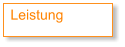 Leistung